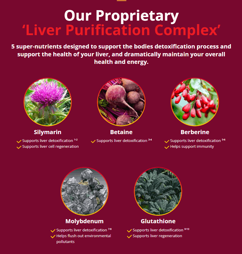 HepatoBurn™ Ingredients
